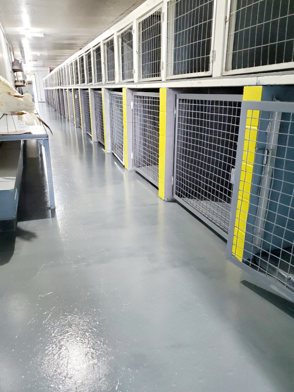 Kennels